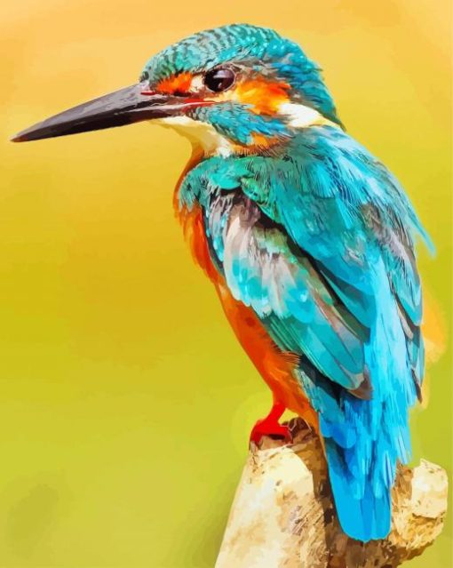 Kingfisher paint by numbers