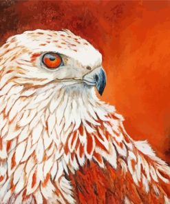 Red Tailed Hawk Bird Paint by numbers