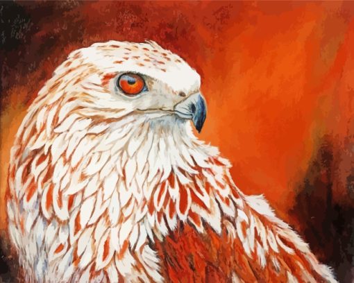 Red Tailed Hawk Bird Paint by numbers