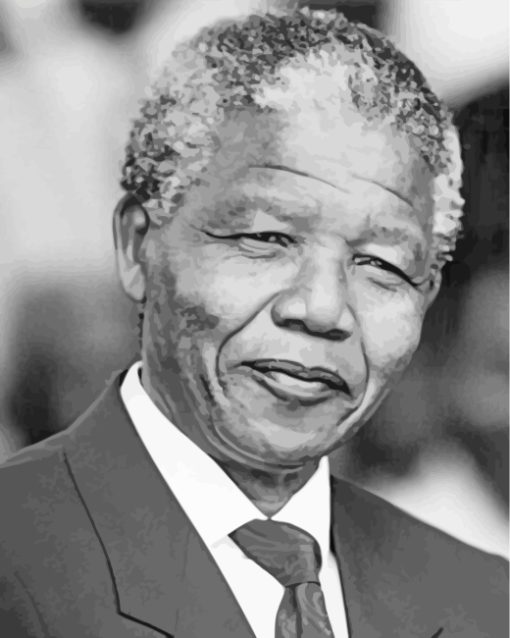 Black and White Nelson Mandela paint by numbers