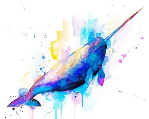 Colors Splash Narwhal paint by numbers