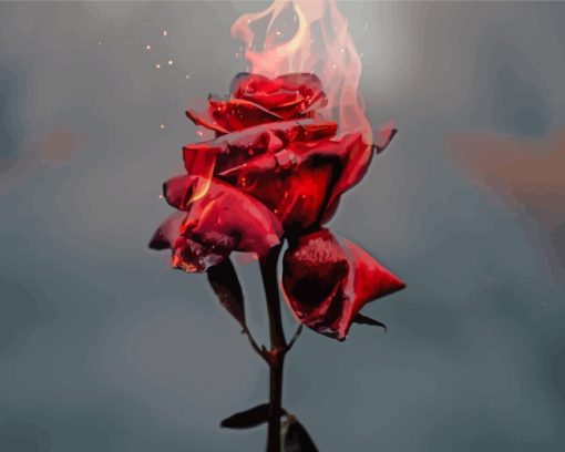 Fire Rose paint by numbers