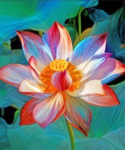 Mystical Lotus paint by numbers