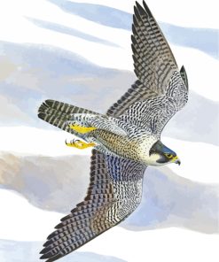 Peregrine Falcon Bird Art paint by numbers