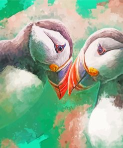 Puffin Birds Art paint by numbers