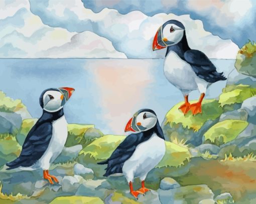 Puffin Birds Family paint by numbers