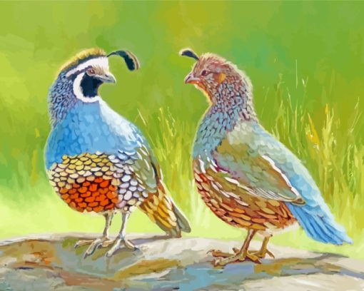 Quail Couple Paint by numbers