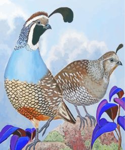 Quails Birds Art paint by numbers