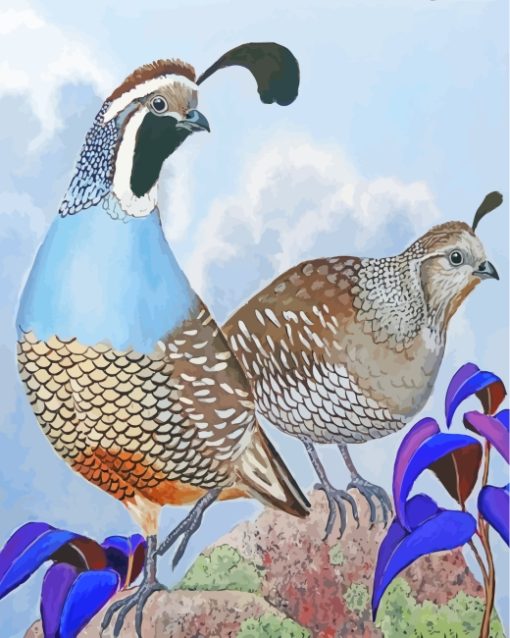 Quails Birds Art paint by numbers