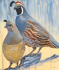 Quails Birds paint by numbers