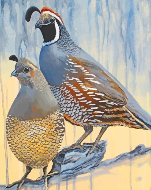 Quails Birds paint by numbers