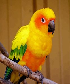 Yellow Conure Bird paint by numbers