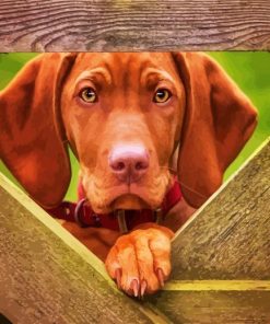 Cute Vizsla Dog paint by numbers