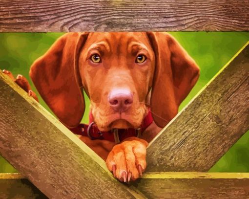 Cute Vizsla Dog paint by numbers