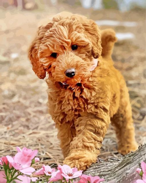 Aesthetic Labradoodle paint by numbers