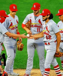 Baseball St Louis Cardinals paint by numbers