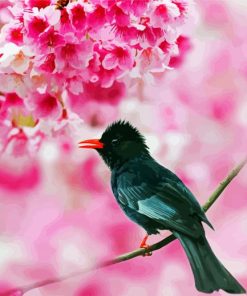 Black Bulbul On Cherry Blossom paint by numbers