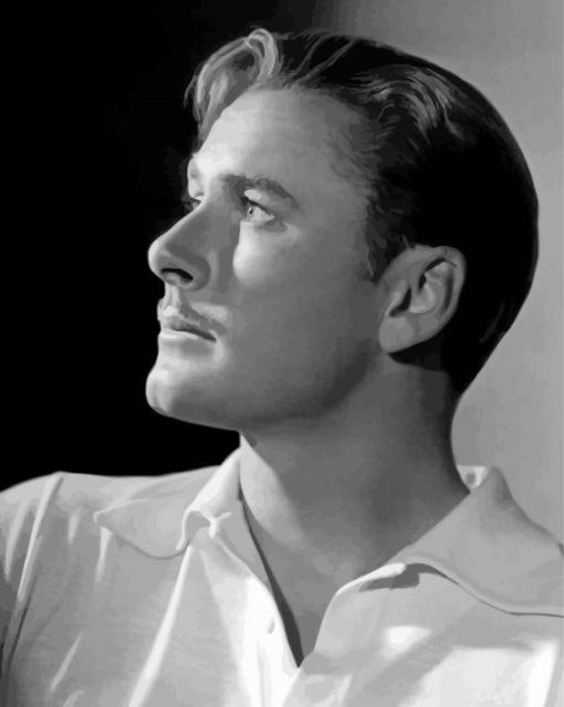 Black And White Errol Flynn Paint by numbers