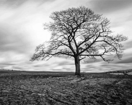 Black And White Dark Tree Paint by numbers