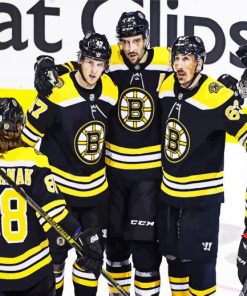 Boston Bruins Ice Hockey Team paint by numbers