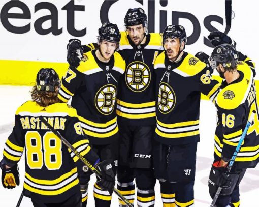 Boston Bruins Ice Hockey Team paint by numbers