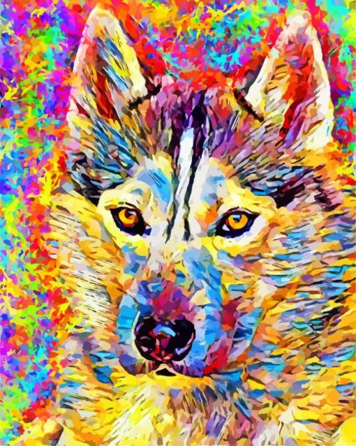 Colorful Pomsky paint by numbers