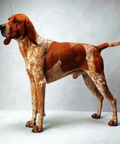 Coonhound paint by numbers paint by numbers