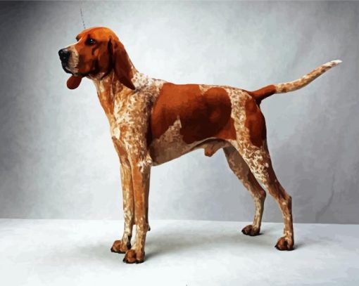 Coonhound paint by numbers paint by numbers