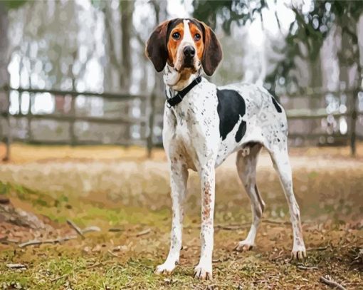 Coonhound paint by numbers paint by numbers