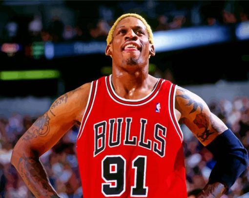 Dennis Rodman Bulls Basketball paint by numbers