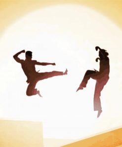 Karate Kid Movie Poster paint by numbers