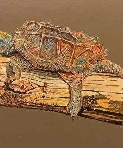 Snapping Turtle Art paint by numbers