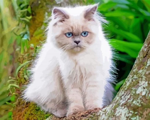 Th Himalayan Cat paint by numbers