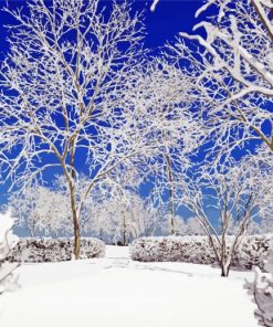 Winter Tree In Snow paint by numbers