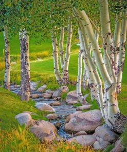 Aesthetic Aspen Trees paint by numbers