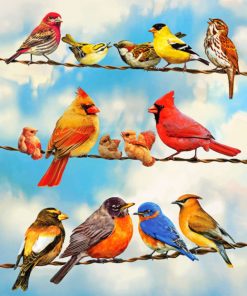 Birds On A Wire paint by numbers
