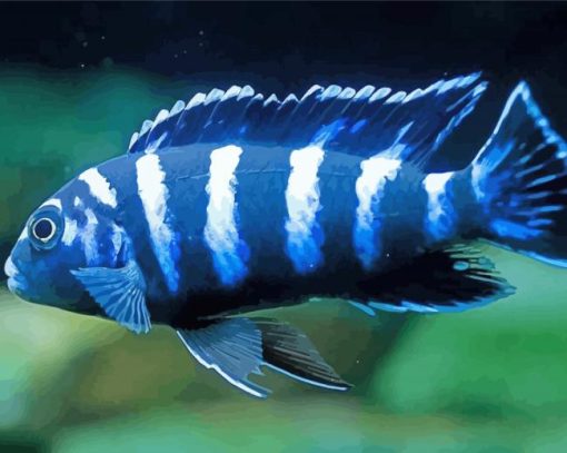 blue Cichlid paint by numbers