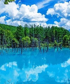 Blue Pond Hokkaido paint by numbers