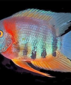 colorful Severum paint by numbers