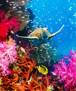 Coral Reef And Green Turtle Royalty paint by numbers