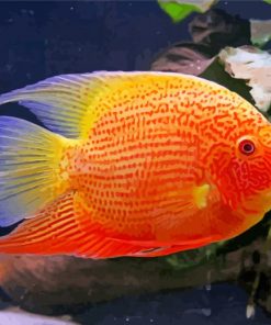 orange Severum paint by number