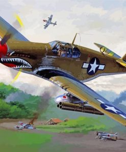 P52 Mustang Aircraft paint by numbers