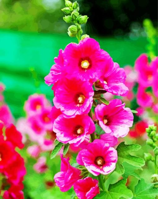 Pink Hollyhock paint by numbers