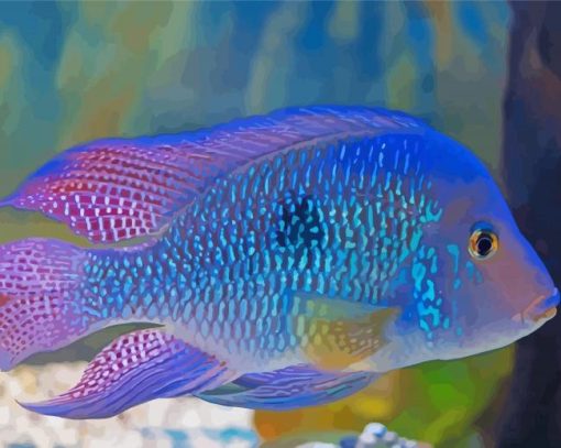 purple Cichlid paint by number