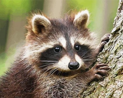 Racoon In A Tree paint by numbers