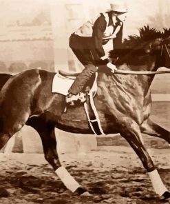 race horse Seabiscuit paint by numbers