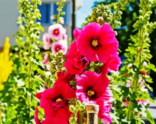 Wonderful Hollyhock paint by numbers