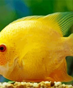 yellow Severum paint by numbers