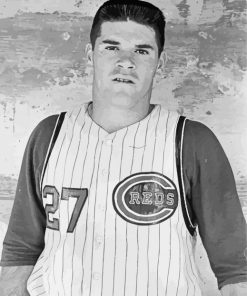 young Pete rose paint by number