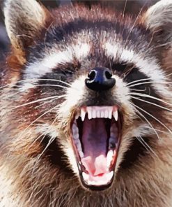 Zombie Racoon Ohio paint by numbers